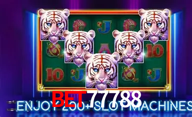 Experiência VIP Bet77788