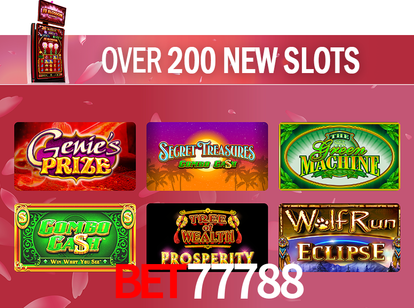 Game Statistics Bet77788